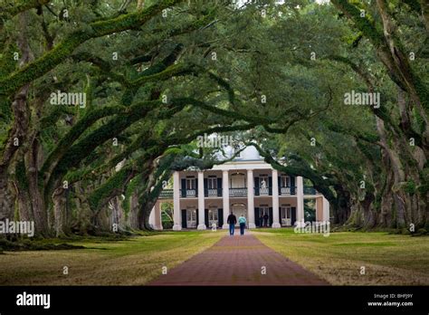  “Oak Alley” -  a haunting gothic melodrama filled with Southern charm and simmering secrets!